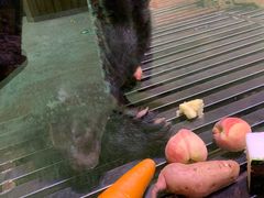 -波塞冬旅游度假区