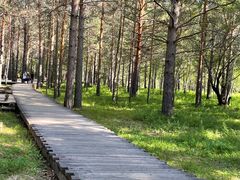 -北极村旅游风景区