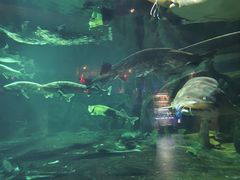 -华夏文旅海洋公园