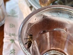 -东钱湖旅游度假区