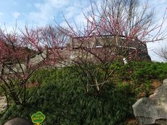-重庆彩云湖湿地公园