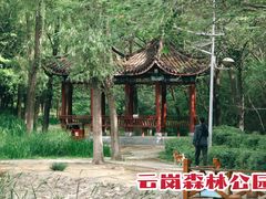 -云岗森林公园