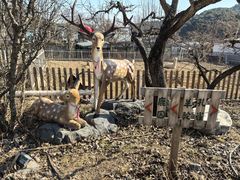 -丽泽山庄·生态怀柔菜·虹鳟鱼(红螺寺店)