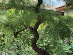 -西宁市东关清真大寺