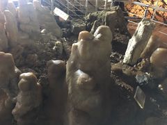 -兴隆溶洞