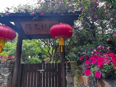 -鹅湖玫瑰文化园
