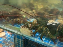 -和源祥·日照菜扛把子(万平口一店)