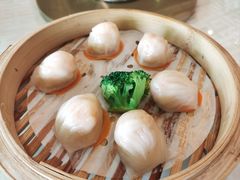 五月花虾饺王-五月花海鲜城