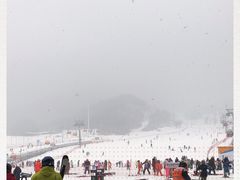 -中旅松花湖滑雪场