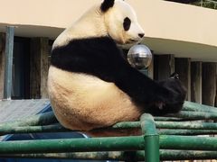 -天津市动物园
