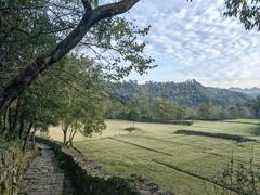 -唐崖土司城遗址