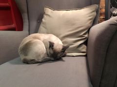 -MIKAKU(万达广场上海宝山店)