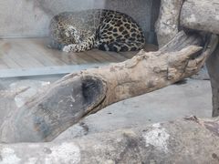 -西安秦岭野生动物园