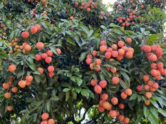 -水濂山森林公园