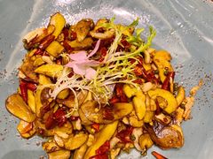 干椒牛肝菌-翠湖宾馆·中餐厅
