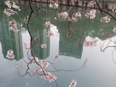 -红星桥(地铁站)