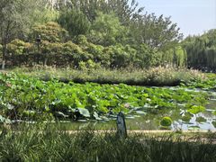 -南翠屏公园