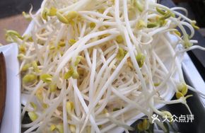 Well Water Sprouted Mung Beans