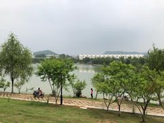 -羊山湖公园