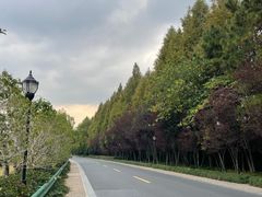 -西溪国家湿地公园