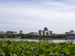 -莲花池公园