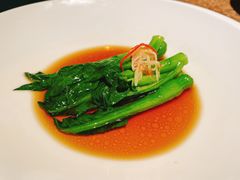 -觀芷隐轩