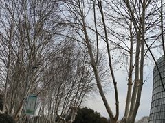 -郑州植物园