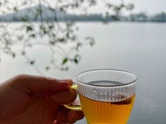 -抱雲轩·湖景庭院茶空间(东湖阳光店)