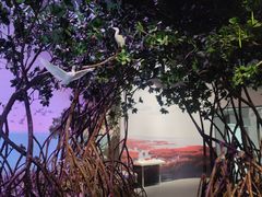 -中国湿地博物馆