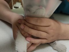 -美联众合24小时·皮肤科·外科·全科诊疗中心(华苑分院)
