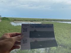 -北海金海湾红树林生态旅游区