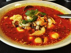 沸腾鱼-河畔春天时尚餐厅