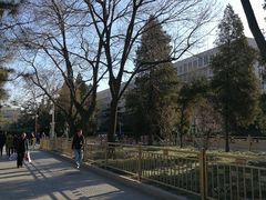 -中国公安部总部大楼