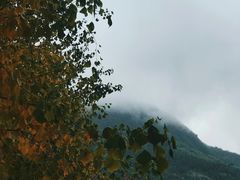 -塔川景区