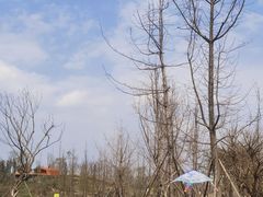 -白鹭湾湿地公园