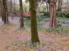 -苏州河梦清园环保主题公园