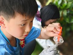 -浦鸿会游泳健身中心·Ambassy Club PD(金桥碧云国际社区店)