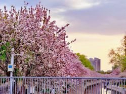 -如一·美甲美睫