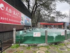 -天怡·鱼工厂(梅溪湖店)