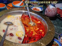 -麻田会 ·鲜活现烹·牛蛙火锅(珠江新城维家思广场店)