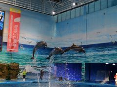 -多彩贵州城极地海洋世界