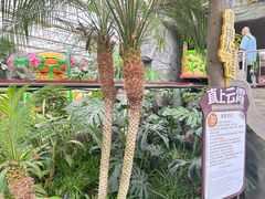 -南宫五洲植物乐园