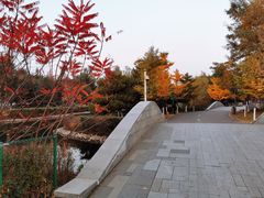-长白岛森林公园