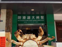 -阳澄湖大闸蟹·琼灵阁牌品牌连锁(吴中总店)