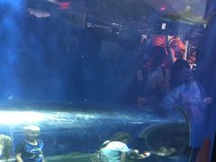 -瑞普利水族馆