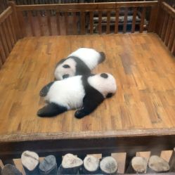 -刺客纹画纹身·洗纹身·穿孔饰品