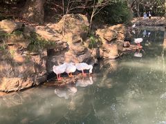 -兰亭风景区
