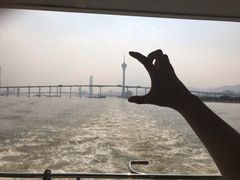 -澳门环岛游湾仔码头