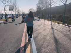 -羊山湖公园