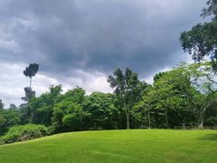 -中国科学院西双版纳热带植物园